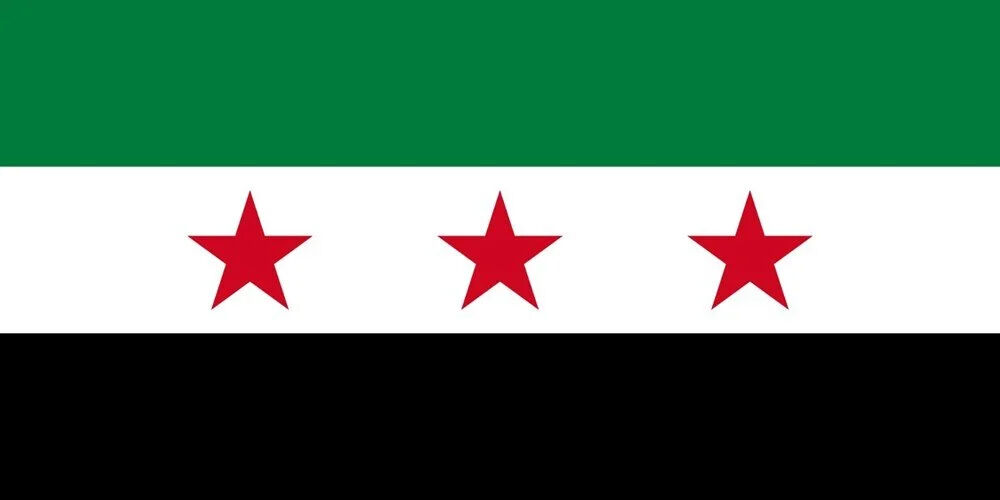 Esad rejimi sona erdi Suriye'de bayrak değişti - 4. Resim