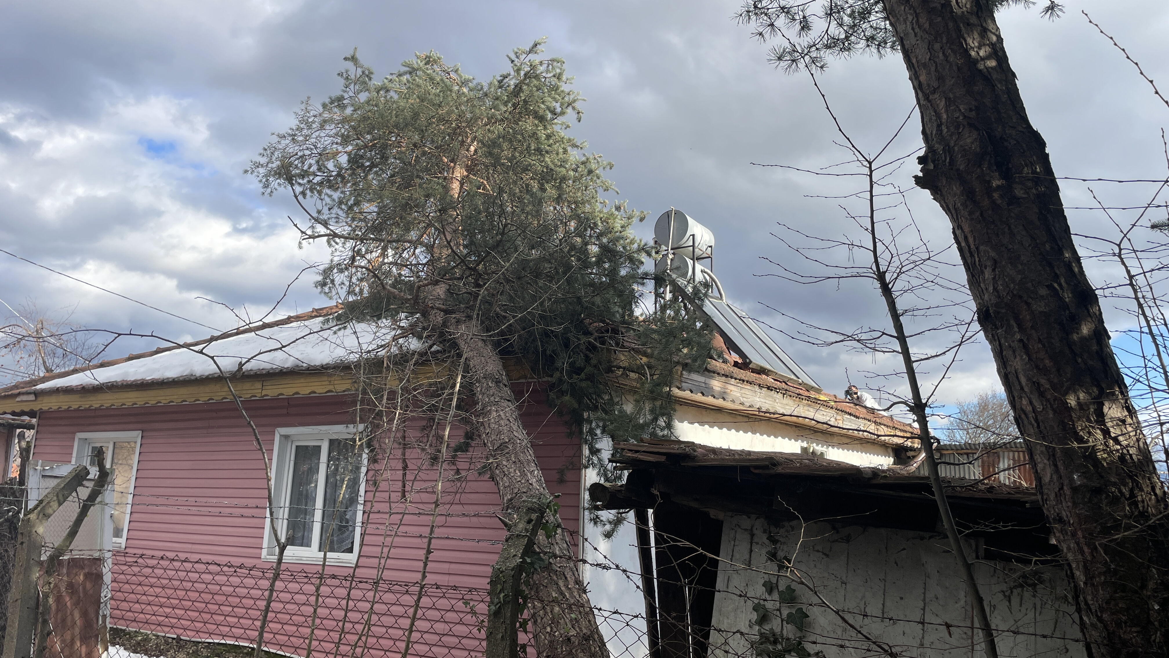 Devrilen ağacı kesmek için çatıya çıkan yaşlı adam ölü bulundu - 1. Resim