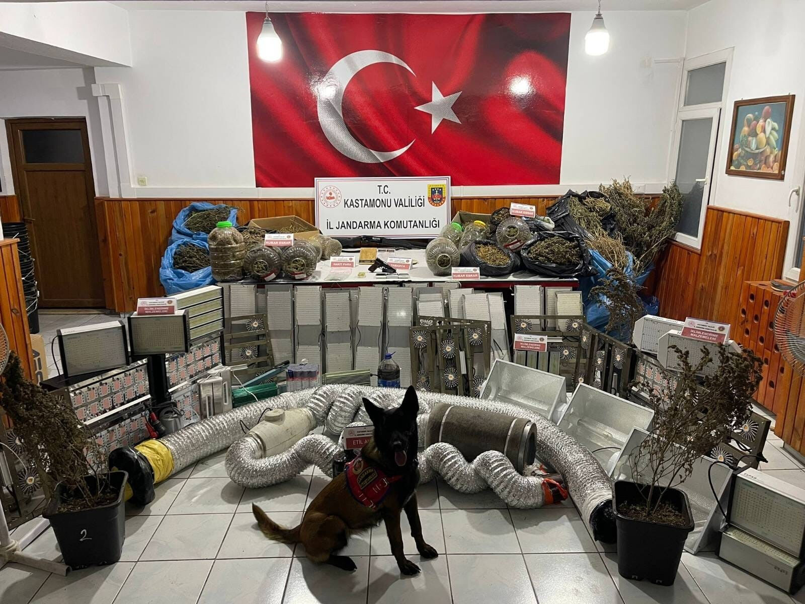 Evlerini kenevir serasına çevirmişlerdi! Savunmaları gündem oldu - 1. Resim