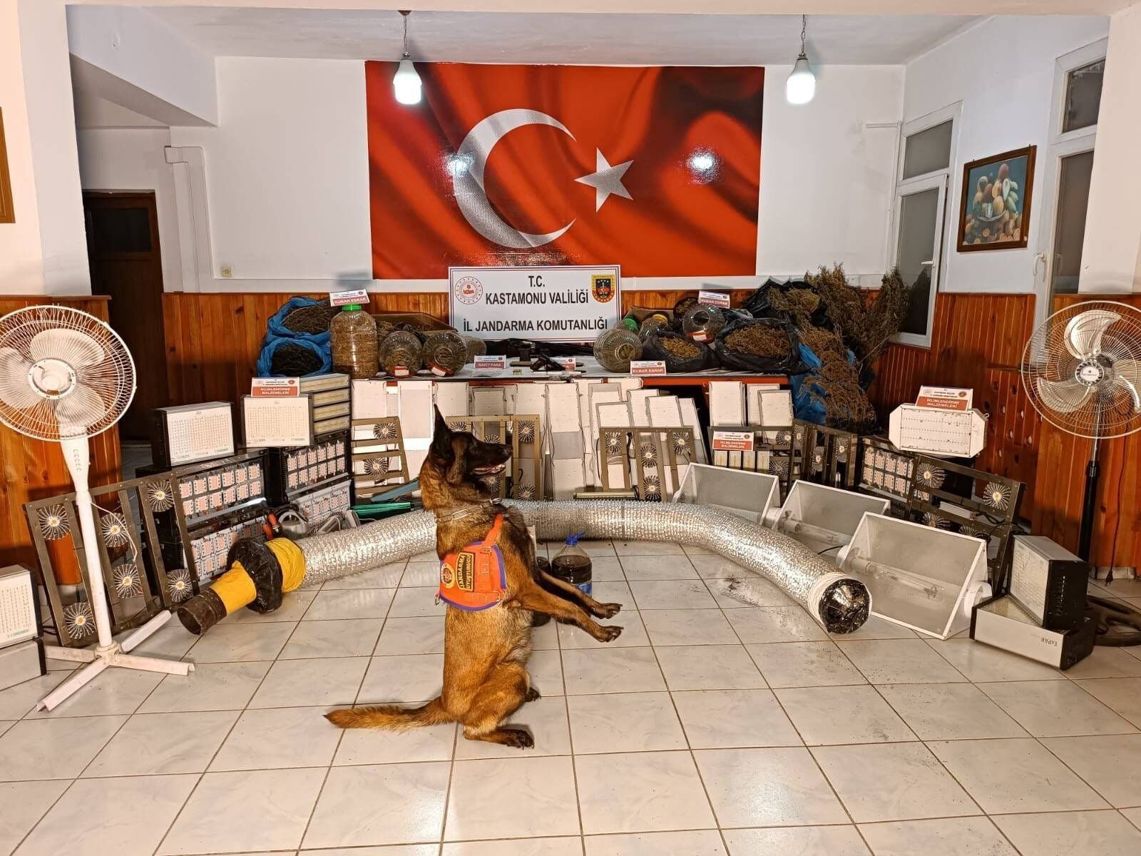 Evlerini kenevir serasına çevirmişlerdi! Savunmaları gündem oldu - 3. Resim