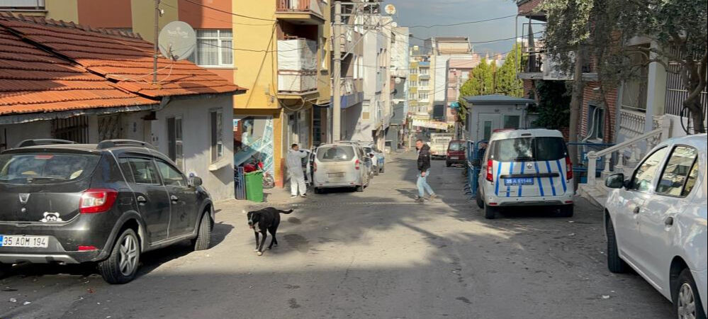 Sevgilisinin 'intihar ettiğini' söylemişti! Genç kadının nasıl öldüğü ortaya çıktı - 1. Resim