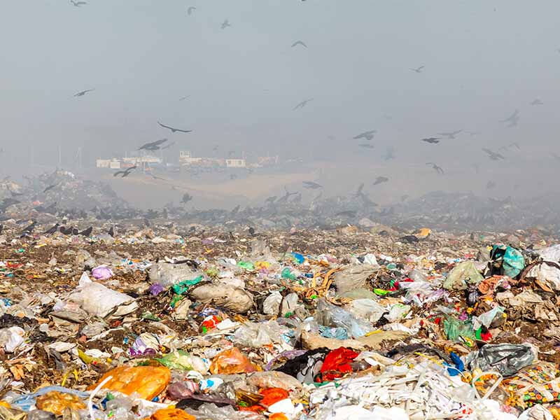 Atıkların doğaya verdikleri zararlar ve çözüm önerileri - 4. Resim