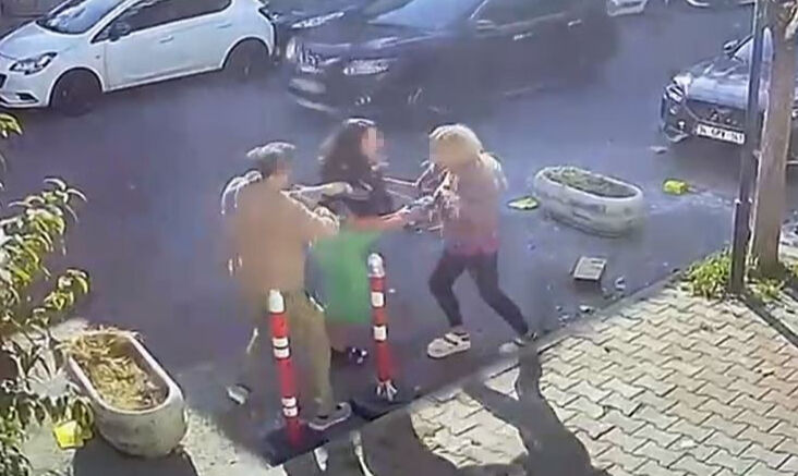 Bunu da gördük! Kedisinin bıyığını yanlış kesen veterineri tokatladı - 1. Resim