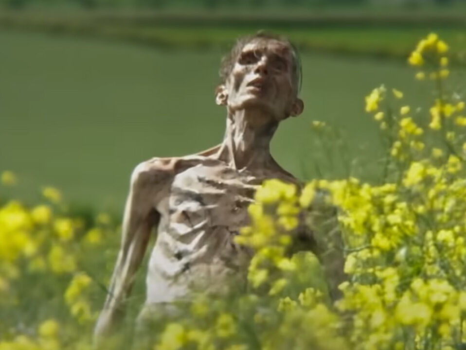 Cillian Murphy hakkında "28 Yıl Sonra" filminden açıklama: Bu işe dahil olmasını istedik! - 1. Resim