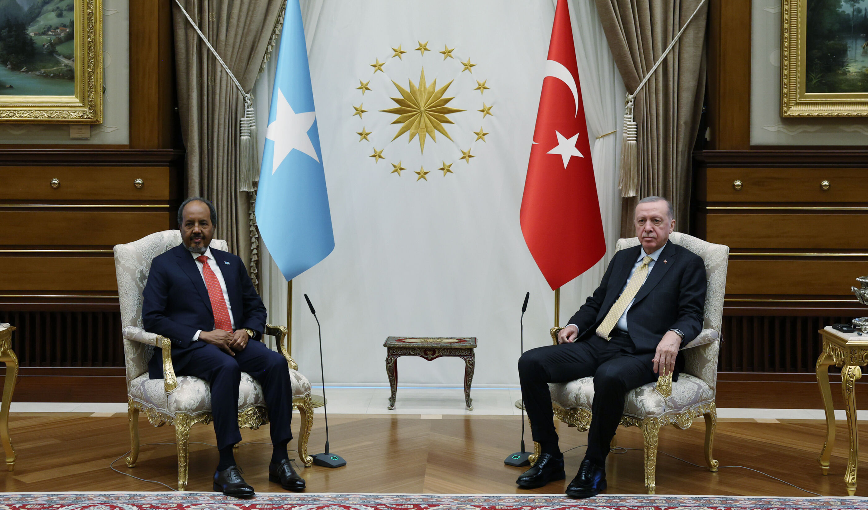 Cumhurbaşkanı Erdoğan Somali Cumhurbaşkanı'nı kabul etti - 1. Resim