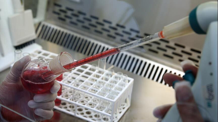 Irk kavramı genetik bilimine göre yok! Biyolojik olarak insanları ayırmak mümkün değil - 2. Resim