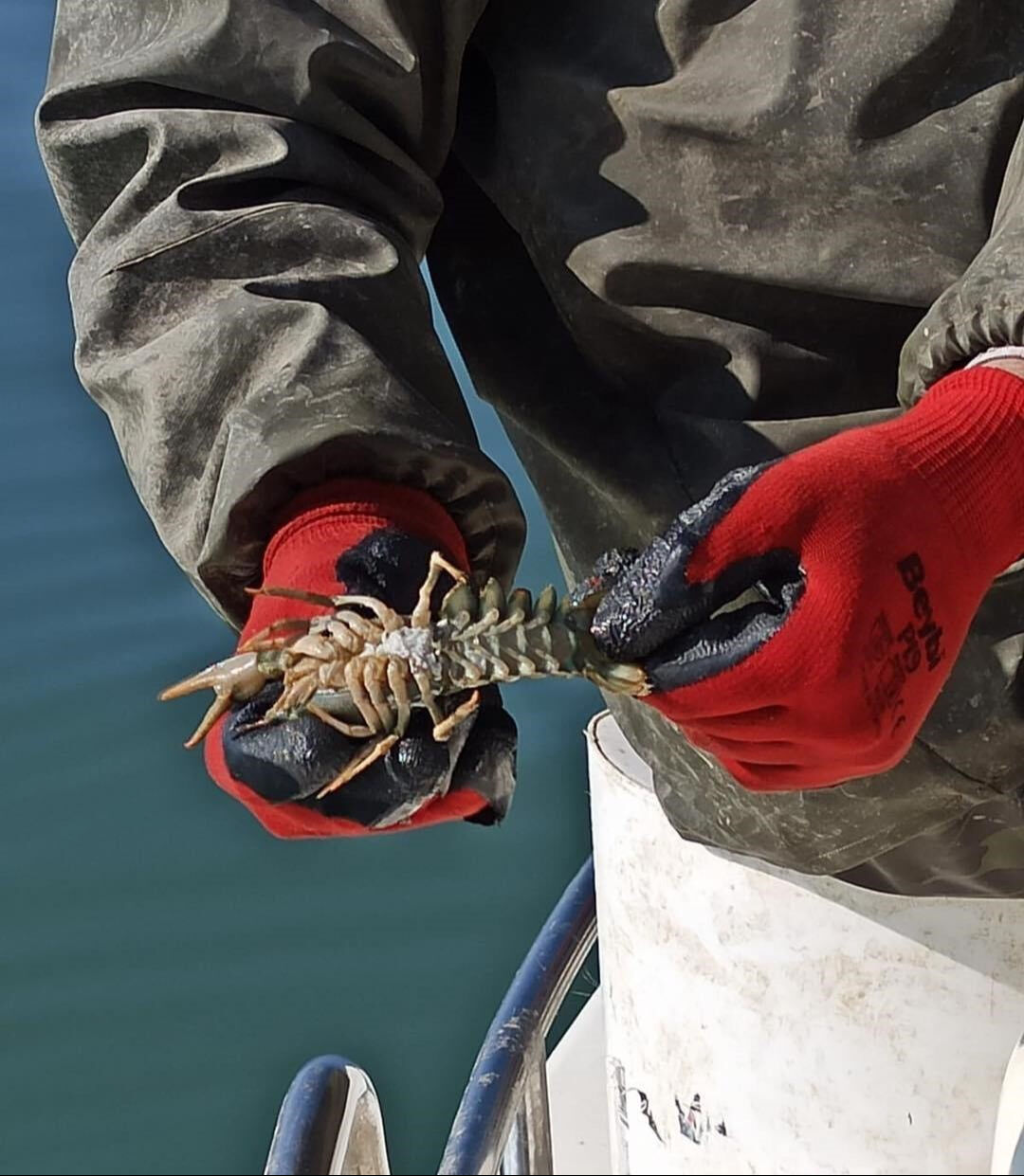 Isparta'da tam 498 ton teker teker yakalandı! Ne olduğunu duyanlar şaşırıyor - 4. Resim