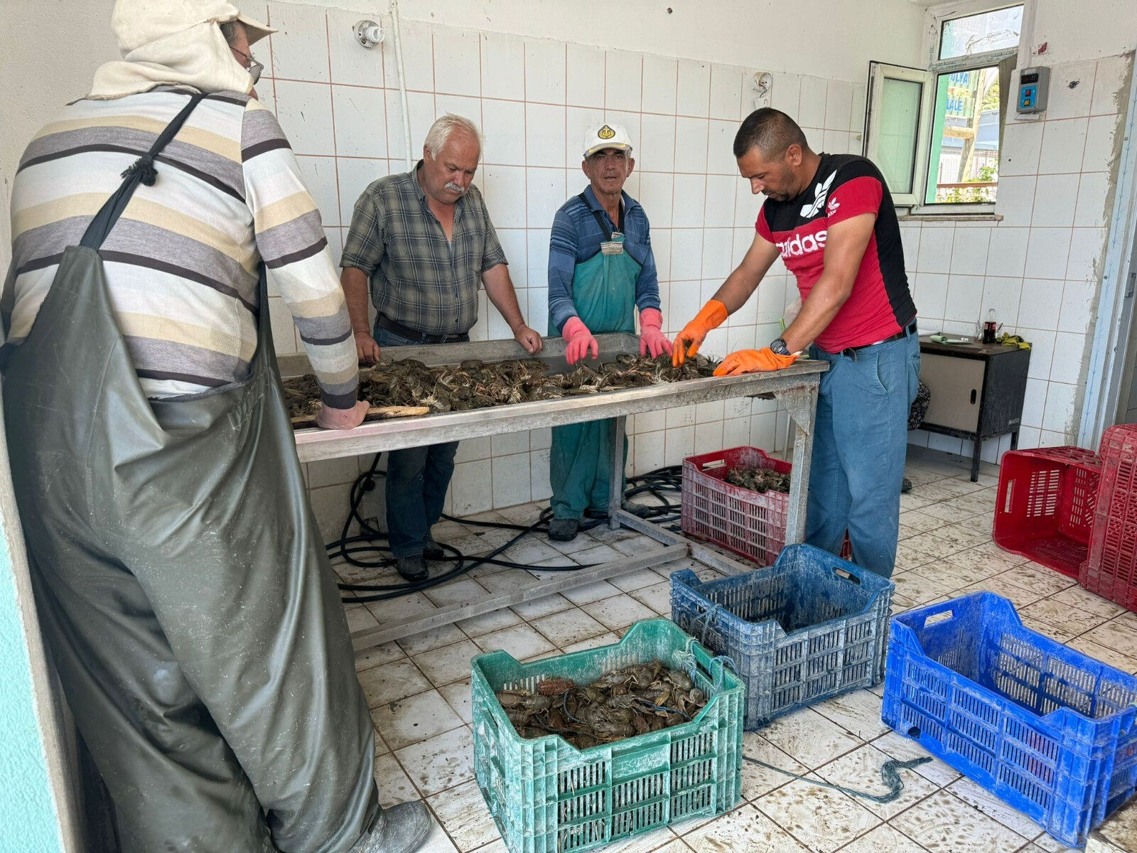 Isparta'da tam 498 ton teker teker yakalandı! Ne olduğunu duyanlar şaşırıyor - 3. Resim
