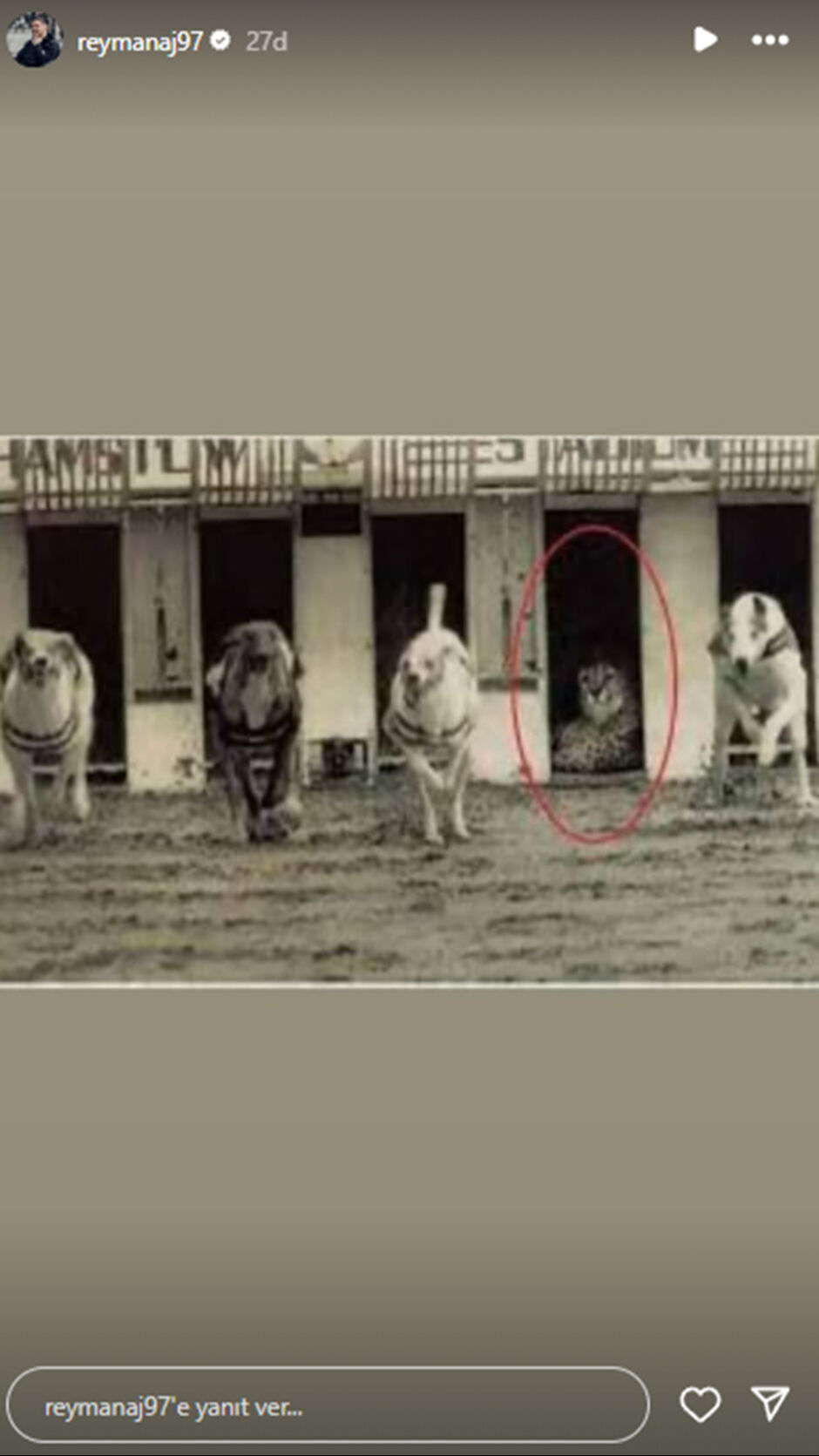 Rey Manaj'dan VAR kayıtları sonrası ilginç paylaşım - 1. Resim