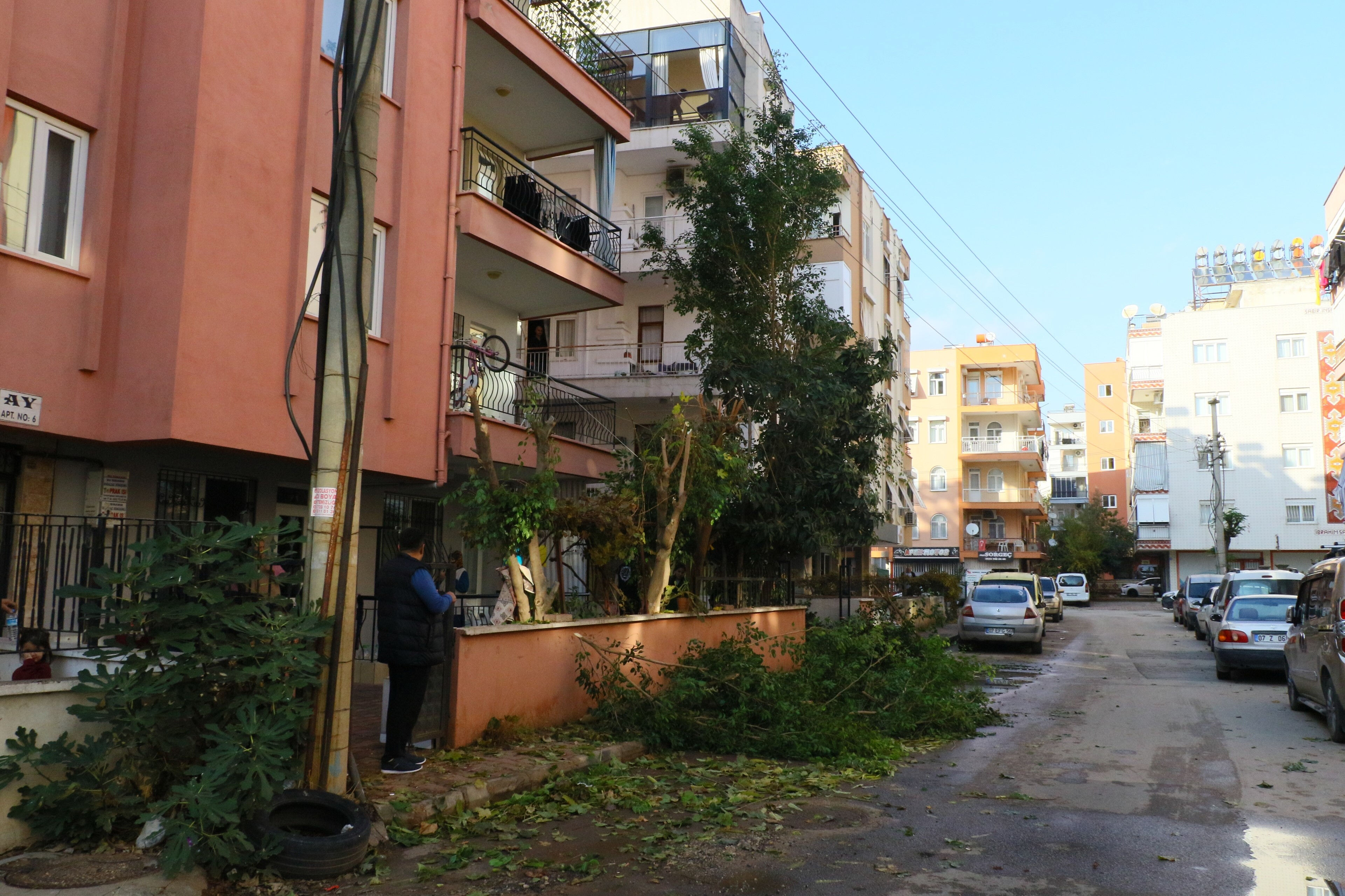 Ağaç budamak istedi, koca bir mahalleyi mağdur etti! Elektrik kesildi, cihazlar yandı, yangın çıktı... Ağaç budamak istedi, koca bir mahalleyi mağdur etti! Elektrik kesildi, cihazlar yandı, yangın çıktı... - 1. Resim