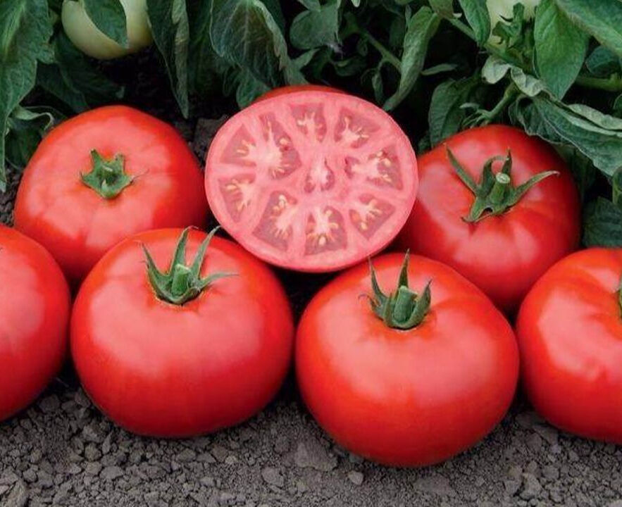 Melatonin nedir ve vücuttaki rolü nedir? Melatonin nedir ve vücuttaki rolü nedir? - 3. Resim