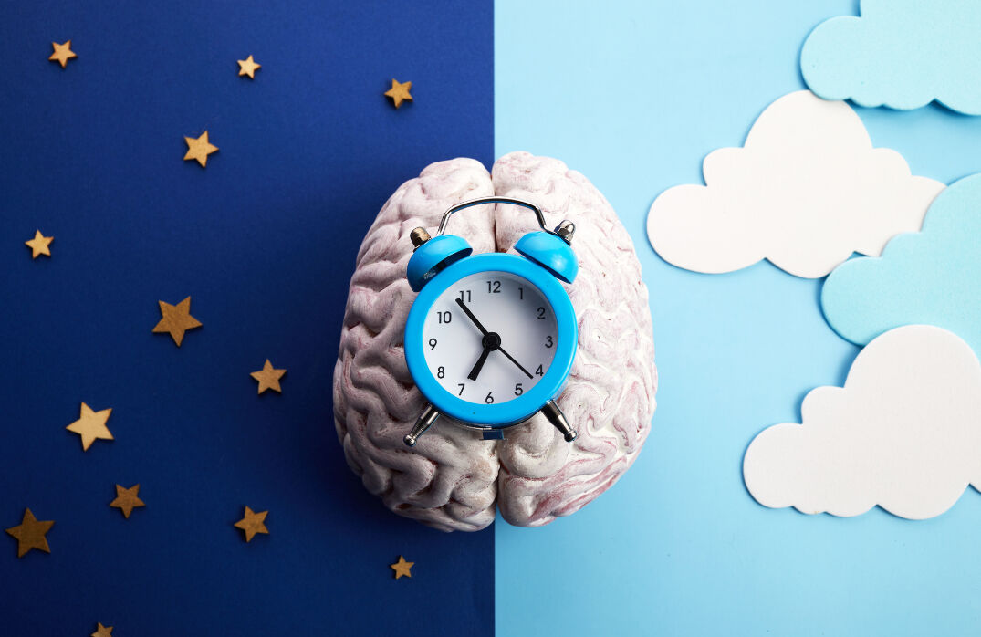 Melatonin nedir ve vücuttaki rolü nedir? Melatonin nedir ve vücuttaki rolü nedir? - 6. Resim