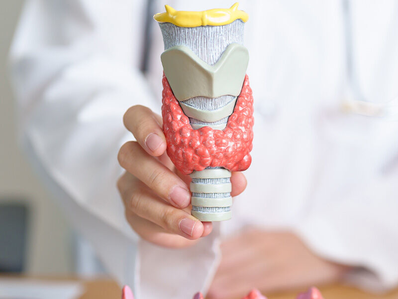 Tiroid nedir ve vücuttaki rolü nelerdir? Tiroid nedir ve vücuttaki rolü nelerdir? - 1. Resim