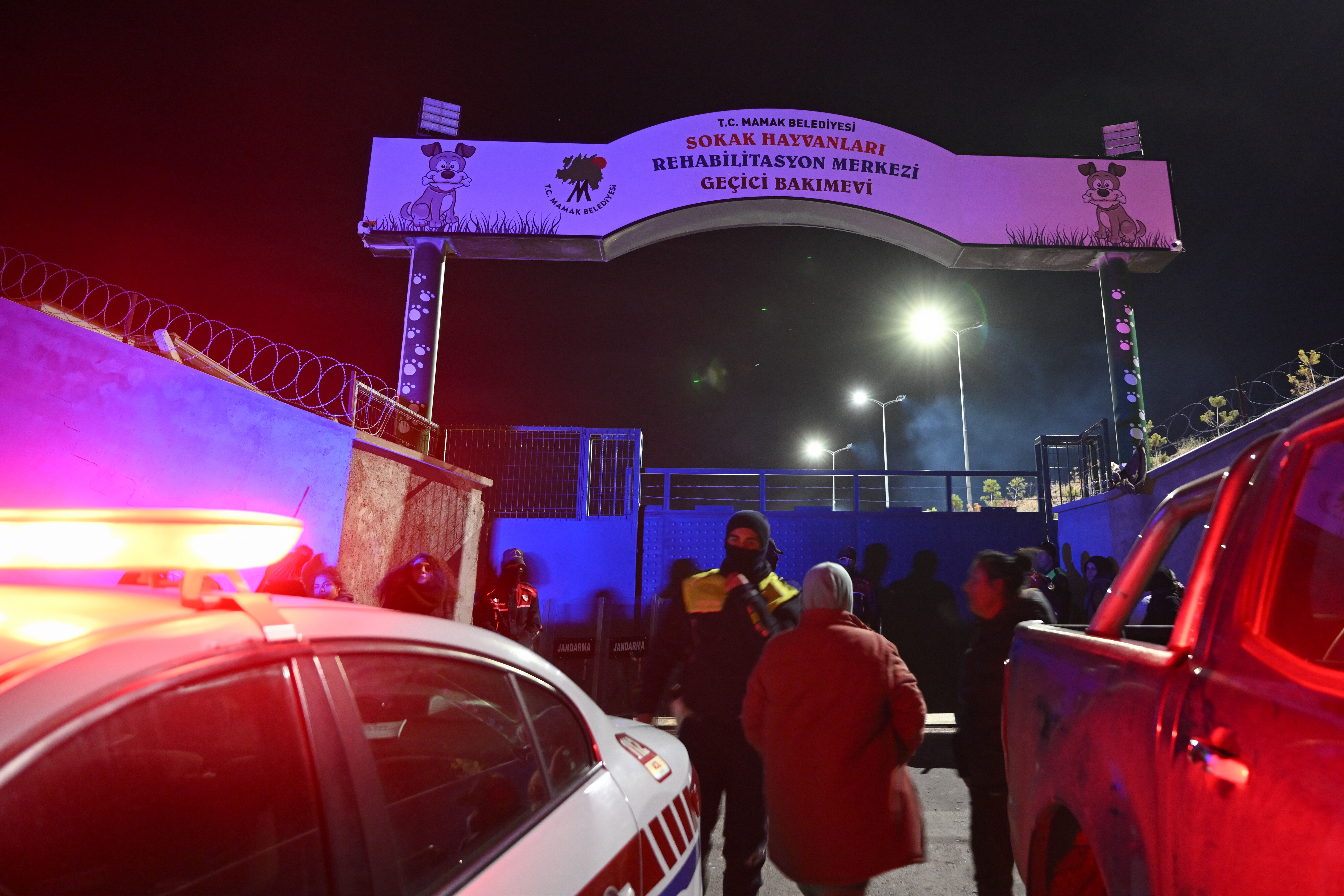 CHP'li Mamak Belediyesi'nin barınağında köpeklere işkence! - 3. Resim