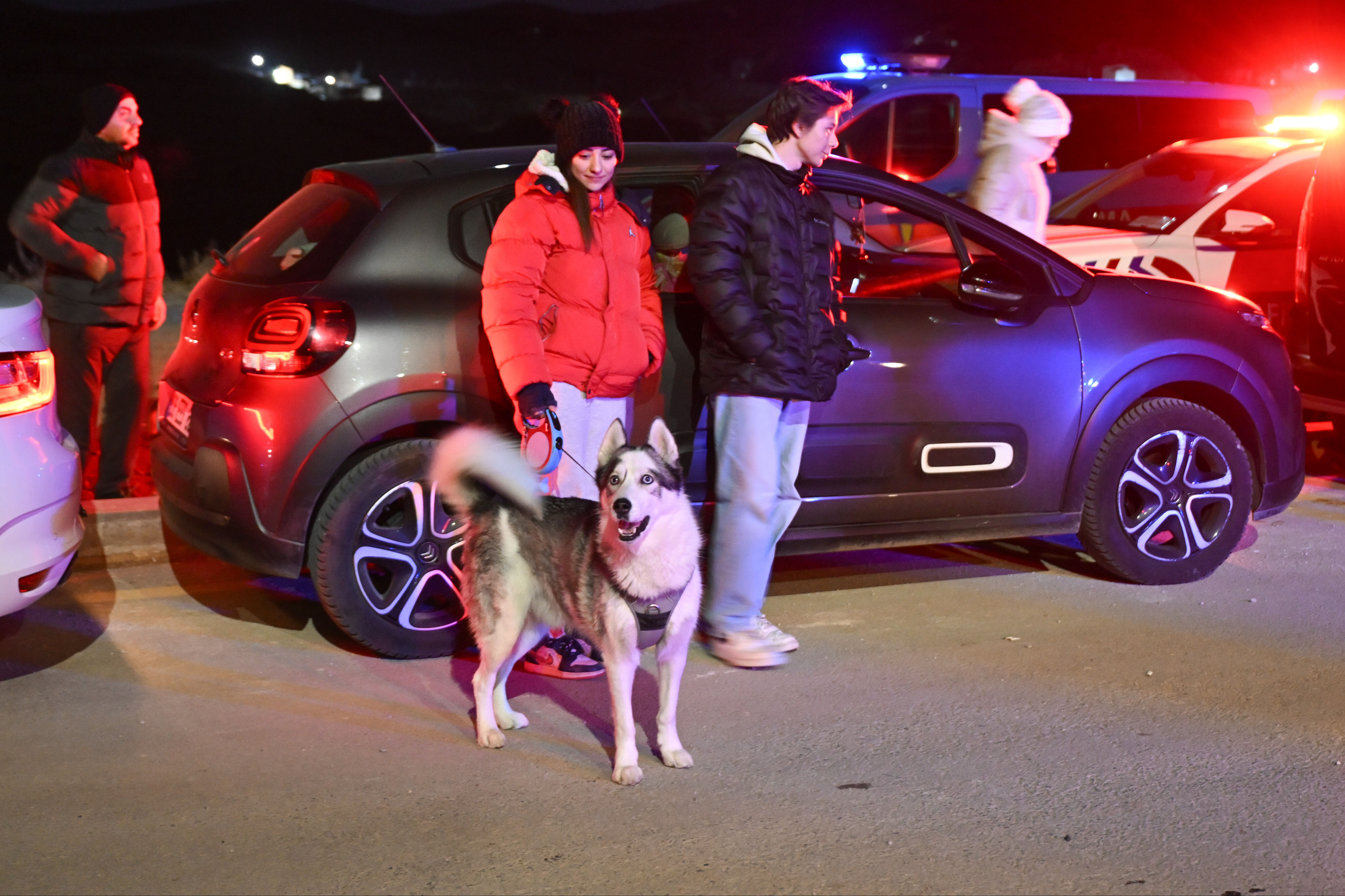 CHP'li Mamak Belediyesi'nin barınağında köpeklere işkence! - 4. Resim