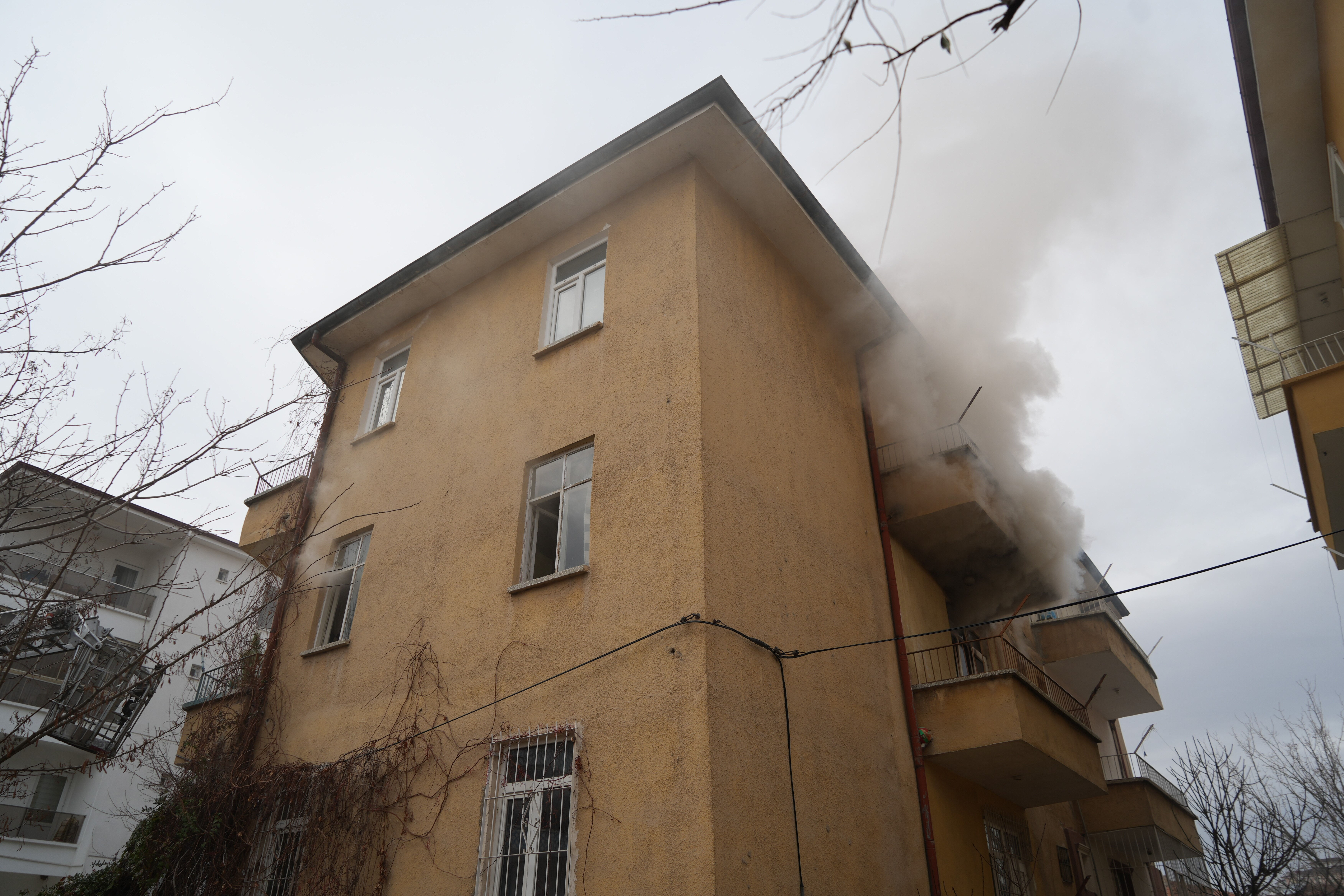 Elektrikli şofben evi yaktı! İtfaiyeden papağana kalp masajı - 1. Resim