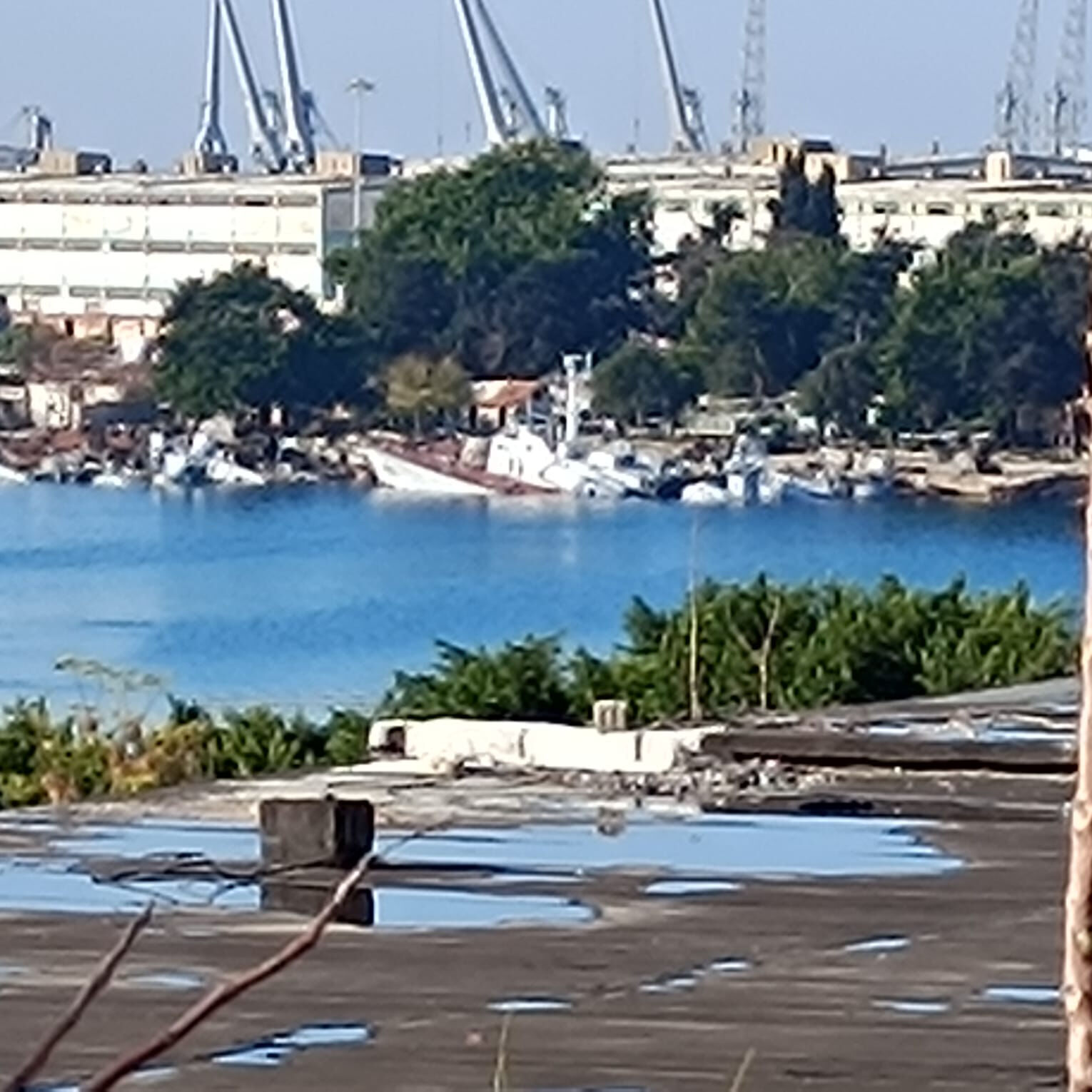 Esad'ın captagon kaçakçılığı yaptığı yere gazetemiz ulaştı! Yılda 2,4 milyar dolar kazanmış Esad'ın Captagon kaçakçılığı yaptığı yere gazetemiz ulaştı! Yılda 2,4 milyar dolar kazanmış - 1. Resim