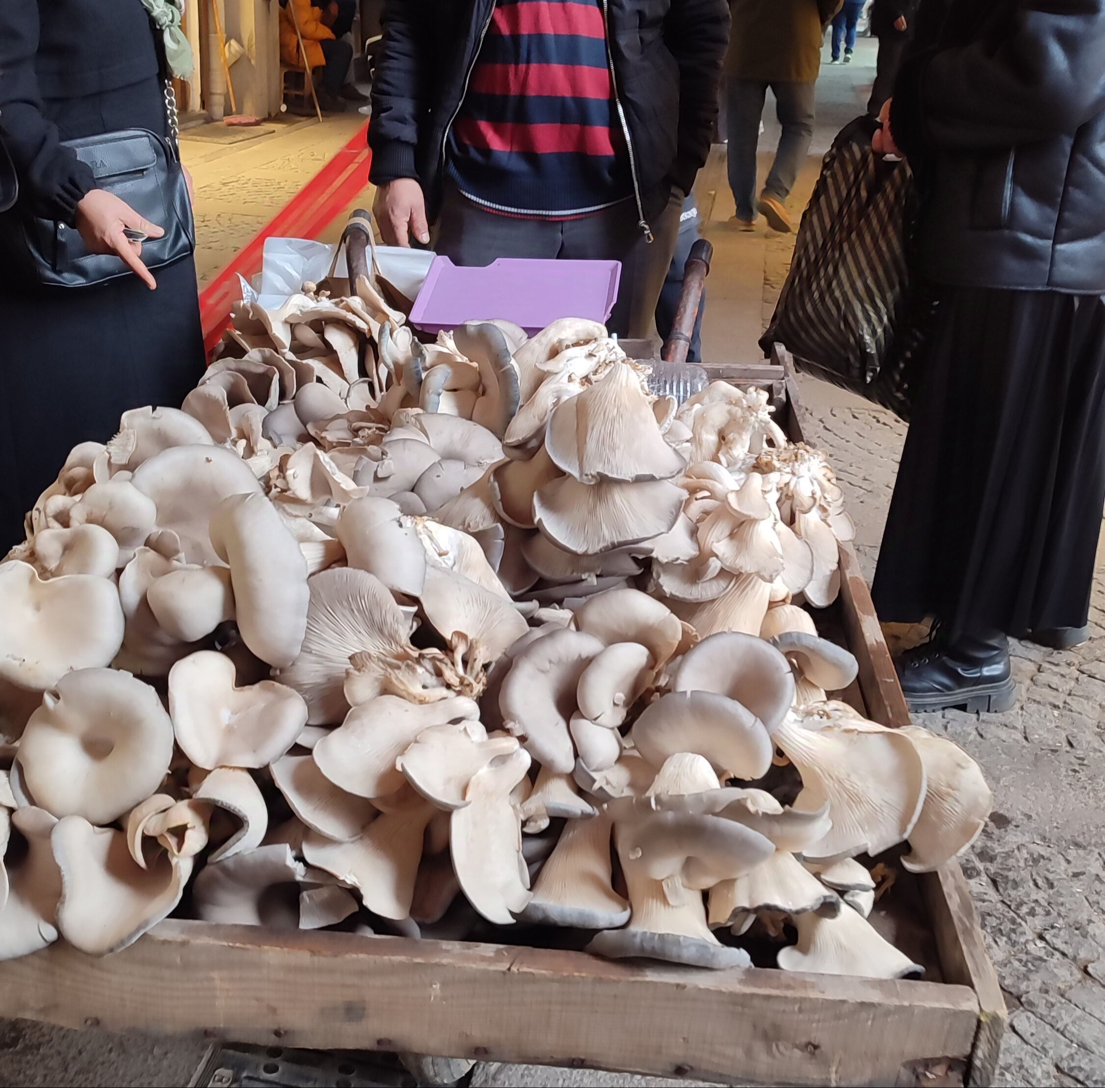 Kilosu 150 lira! Dağlardan toplayıp satıyor, geçimini böyle sağlıyor Kilosu 150 lira! Dağlardan toplayıp satıyor, geçimini böyle sağlıyor - 1. Resim