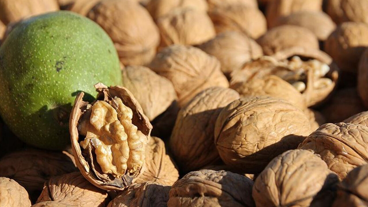 Faydası kadar zararı da var! Tüketirken dikkat, cevizdeki tehlikeyi çok az kişi biliyor Faydası kadar zararı da var! Tüketirken dikkat, cevizdeki tehlikeyi çok az kişi biliyor - 6. Resim