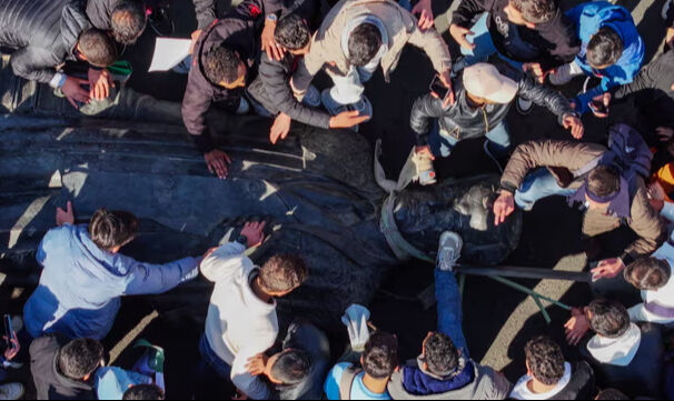 Suriye'de Esad rejiminin devrilmesinden bir hafta sonra okullar yeniden açıldı Suriye'de Esad rejiminin devrilmesinden bir hafta sonra okullar yeniden açıldı - 4. Resim