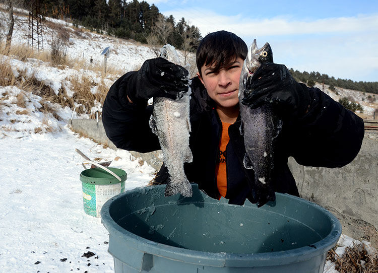 Kars'ta 20 ton hayvanın yer aldığı çiftlikte inanılmaz manzara! Kontrole giden vatandaş karşılaştı - 4. Resim