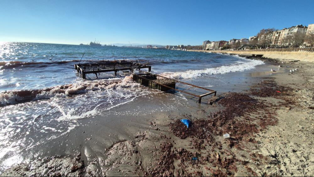 Marmara Denizi'nde korkutan akındı! Kızıl yosun bazı bölgeleri kapladı - 3. Resim