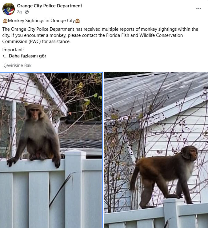 ABD polisi uyardı: Sokaklara inmeye başladılar, yaklaşmayın! - 2. Resim