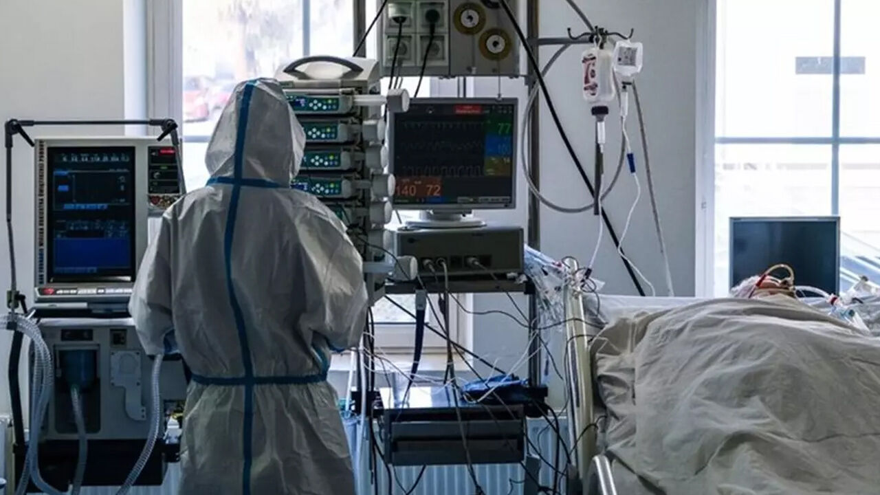 ABD'de kuş gribi alarmı! Kaliforniya'da acil durum ilan edildi ABD'de kuş gribi alarmı! Kaliforniya'da acil durum ilan edildi - 2. Resim