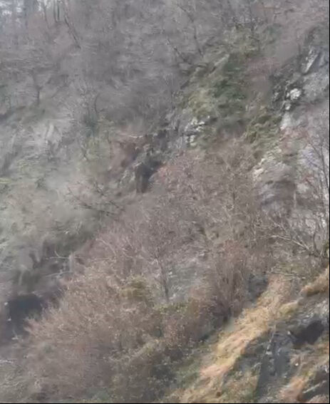 Artvin'de heyelan oldu! Korku dolu anlar saniye saniye kameralarda - 1. Resim