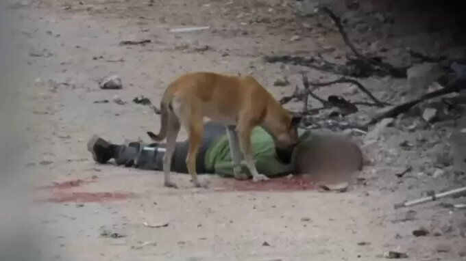 Gazze’deki katliamın şoke edici perde arkası: 