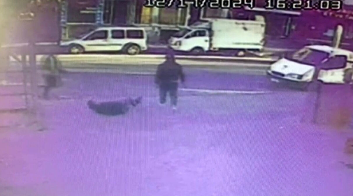 Hamile kadını kaçırmaya çalışıp kocasını vurdular! Detaylar tüyler ürpertti Hamile kadını kaçırmaya çalışıp kocasını vurdular! Detaylar tüyler ürpertti - 2. Resim