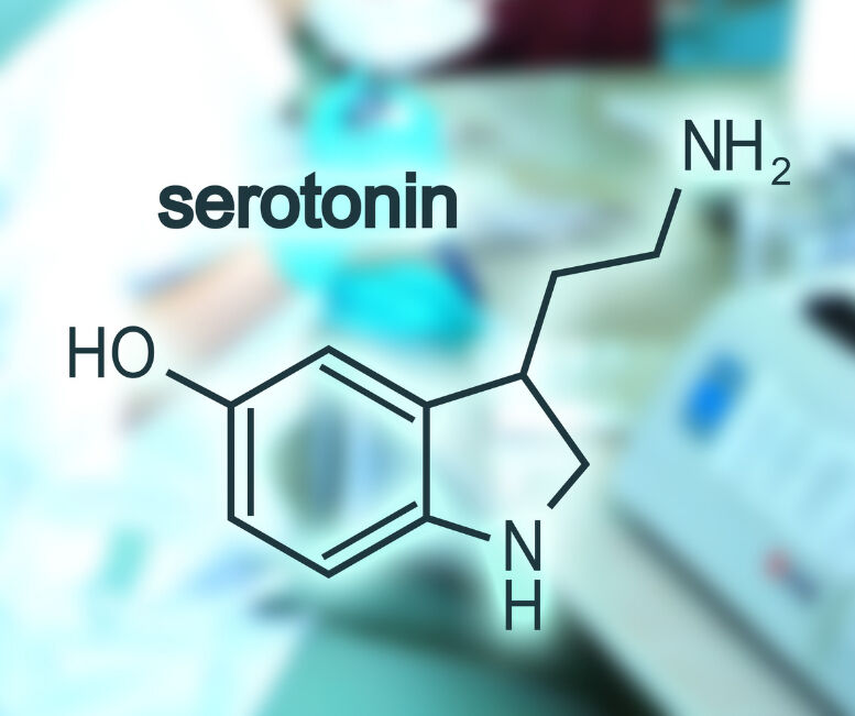 Serotonin hormonu nedir ve nasıl çalışır? - 1. Resim