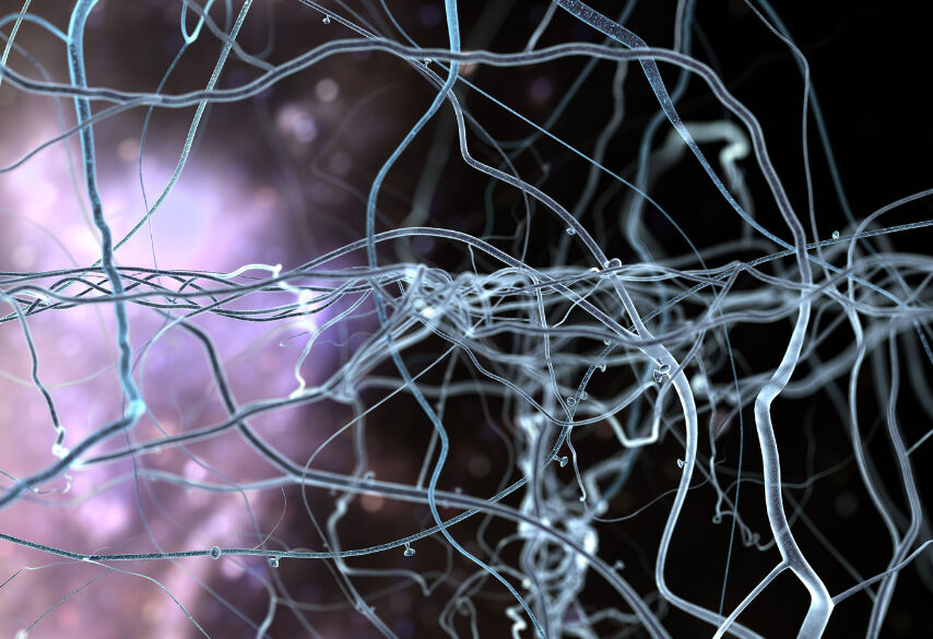 Serotonin hormonu nedir ve nasıl çalışır? - 5. Resim