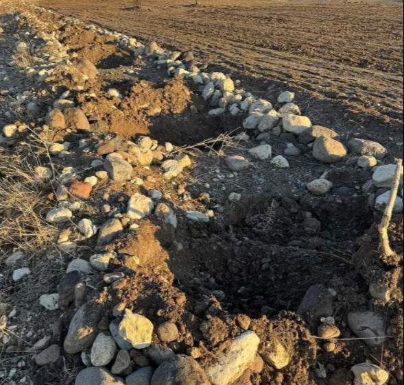 Tunceli'de belediyenin dikmek için hazırladığı fidanlar çalındı - 1. Resim