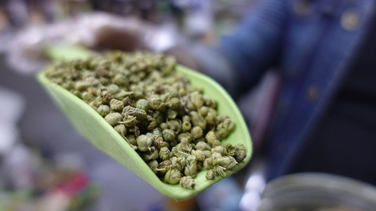 Türkiye'de 29 türü var, 'yatağa yatırmadan' iyileştiriyor! Öksürük, bronşit, nefes darlığı, astım... Vücuda kalkan oluyor Türkiye'de 29 türü var, 'yatağa yatırmadan' iyileştiriyor! Öksürük, bronşit, nefes darlığı, astım... Vücuda kalkan oluyor - 2. Resim