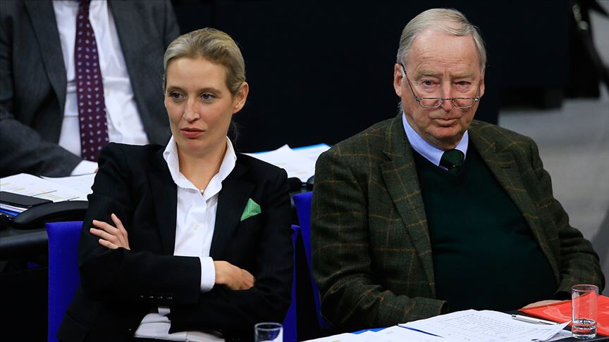 Elon Musk Almanya seçimlerine müdahale ediyor! Destekleyeceği partiyi açıkladı - 2. Resim