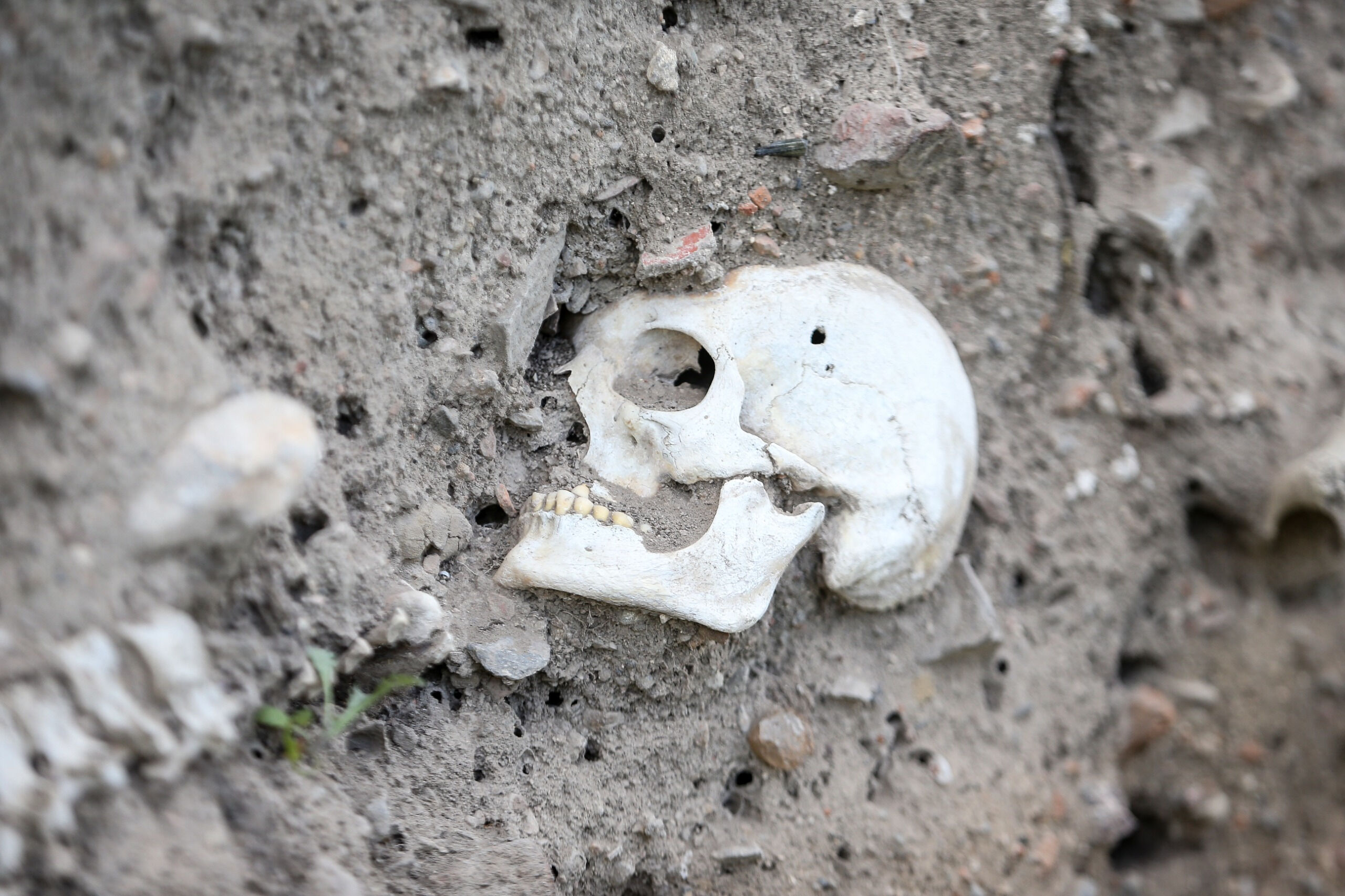 İznik kazıları yamyamlık ve işkenceyi ispatladı! Haçlıların Anadolu’daki vahşeti gün yüzüne çıktı - 9. Resim