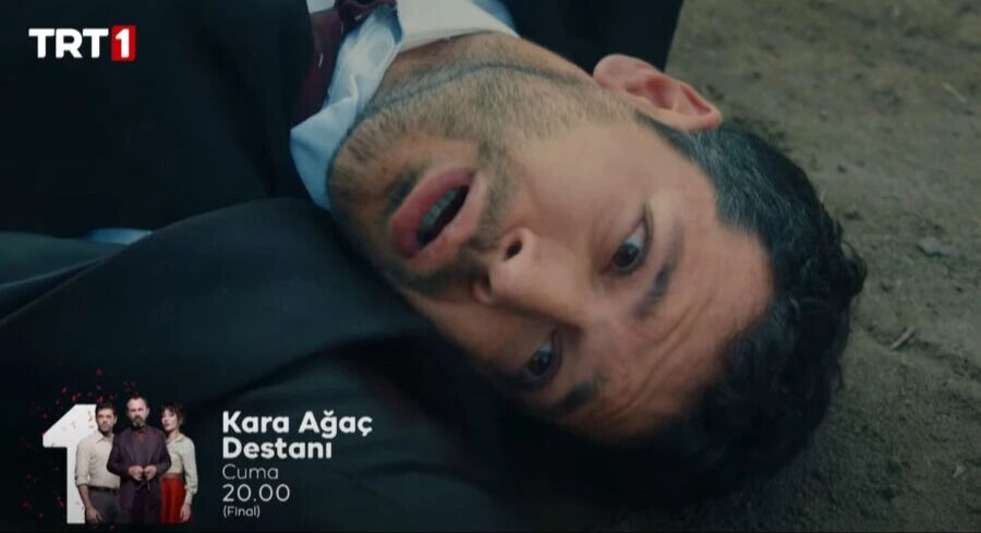 Karaağaç Destanı neden final yapıyor? Sevilen diziden kötü haber geldi  - 2. Resim