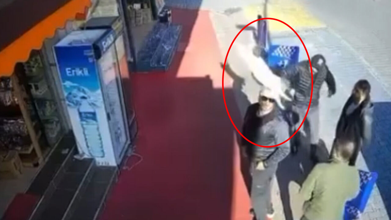 Koyu sohbete dalmışlardı! Başına kedi düşünce gülme krizine girdiler - 1. Resim