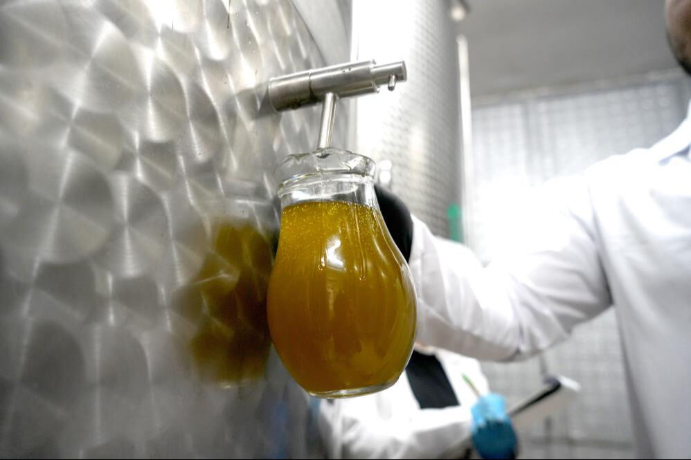 Zeytinyağı fiyatının ne zaman açıklanacağı belli oldu! Fikret Akova tarih verdi - 4. Resim