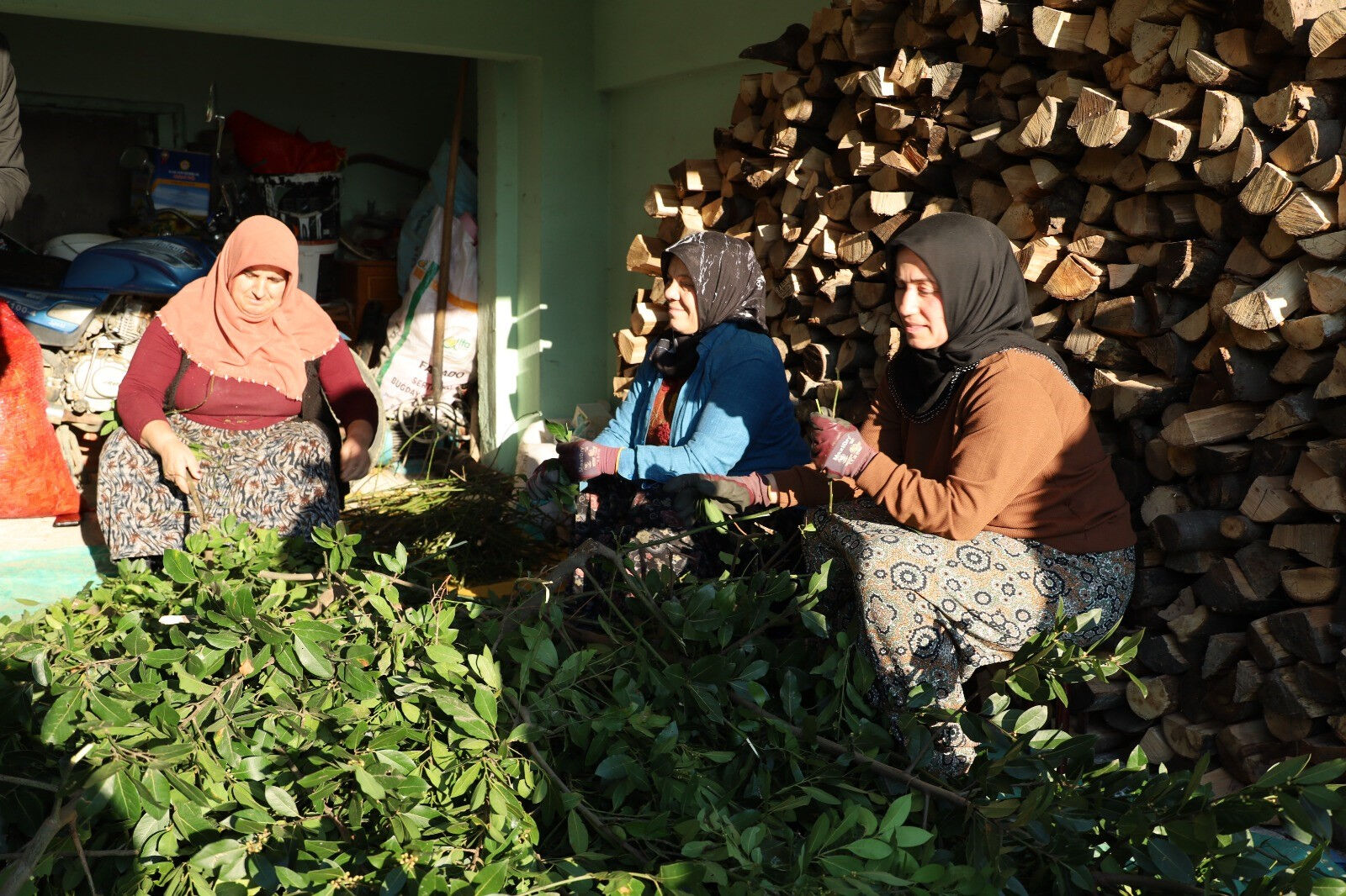 Tüketimi arttı, vatandaşın gelir kapısı oldu! Kilosunu 35 TL'den satıyorlar - 1. Resim