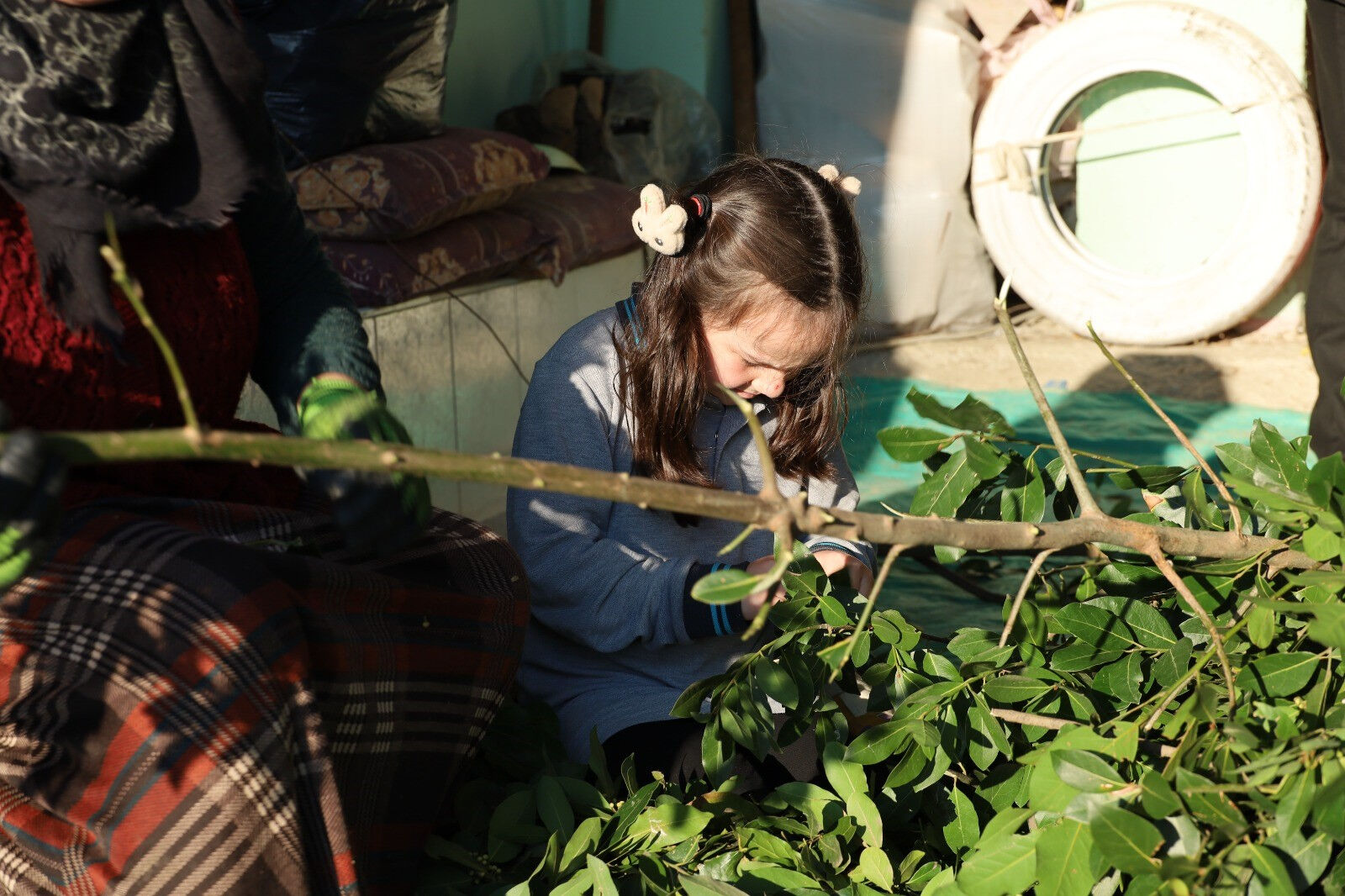 Tüketimi arttı, vatandaşın gelir kapısı oldu! Kilosunu 35 TL'den satıyorlar - 2. Resim