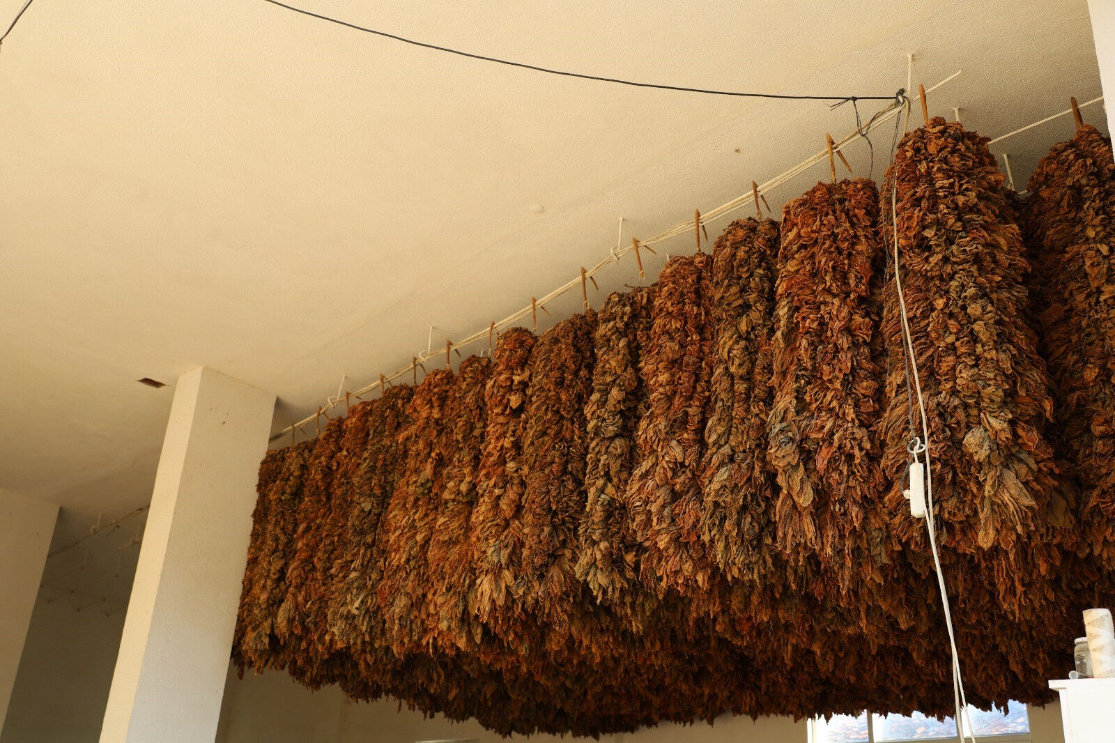 Tütün üreticilerinin fiyat beklentisi 450 TL - 1. Resim