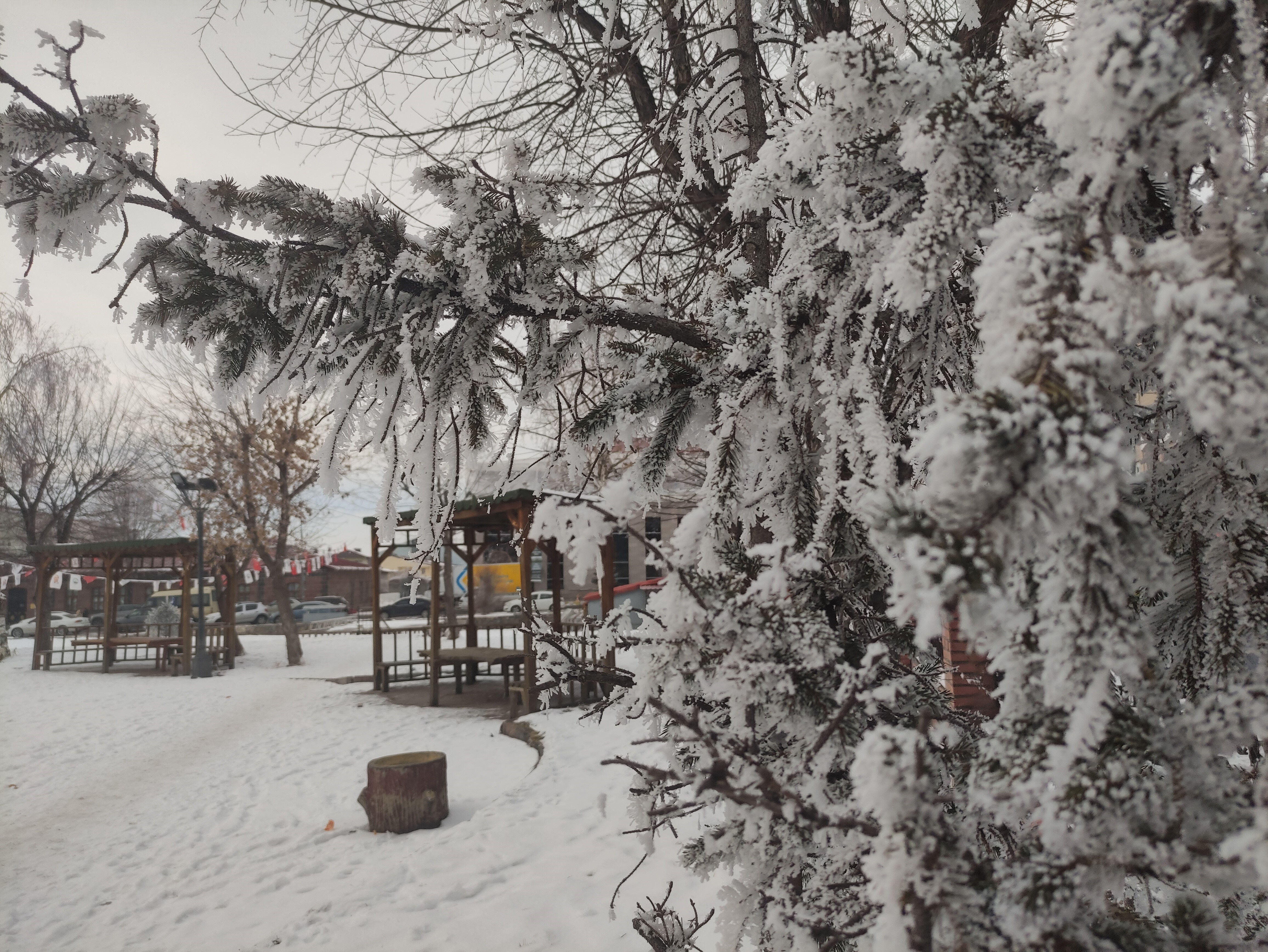 Bu ilçede her yer buz tuttu! Termometreler eksi 22'yi gösterdi - 1. Resim