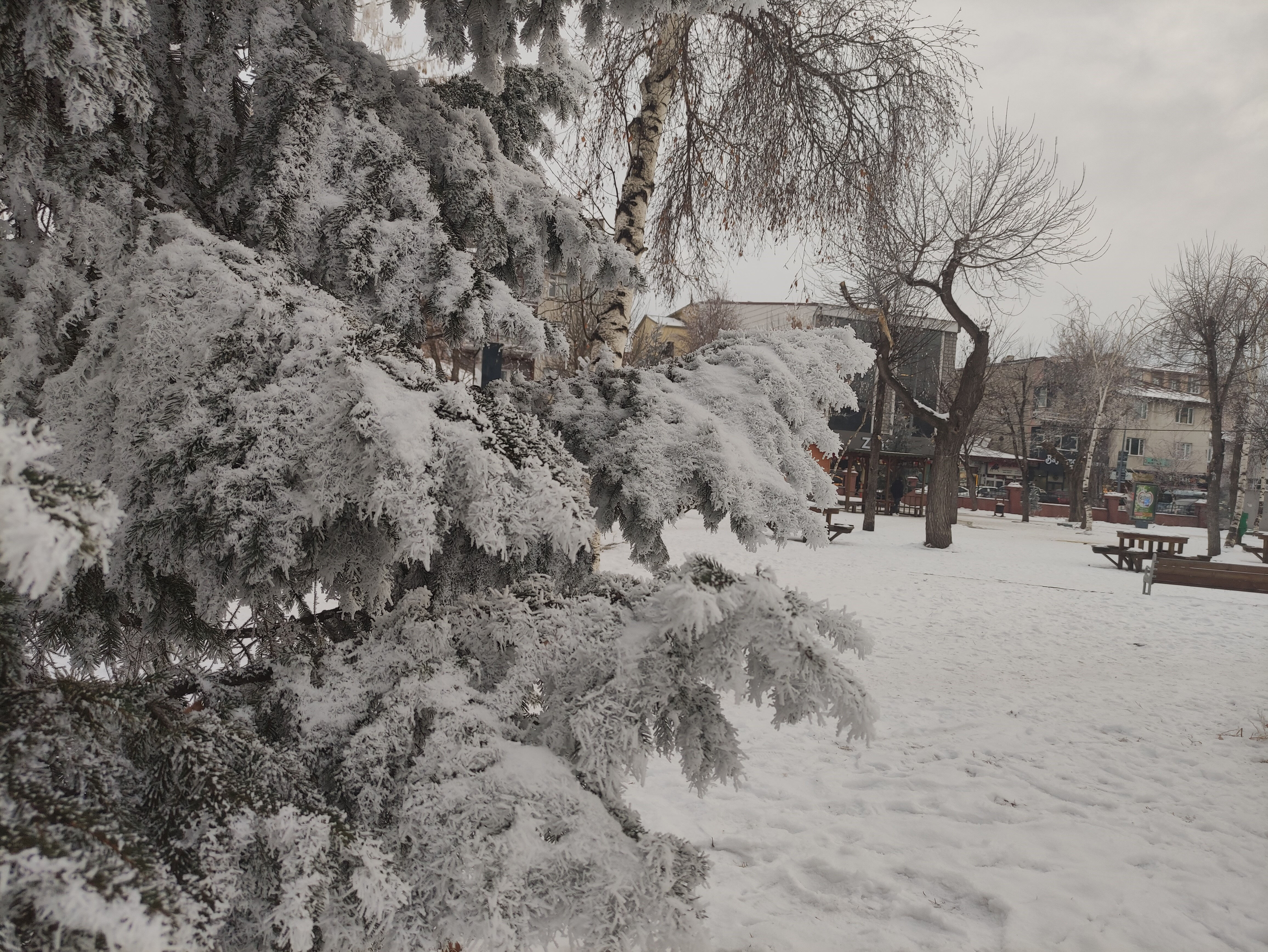 Bu ilçede her yer buz tuttu! Termometreler eksi 22'yi gösterdi - 2. Resim