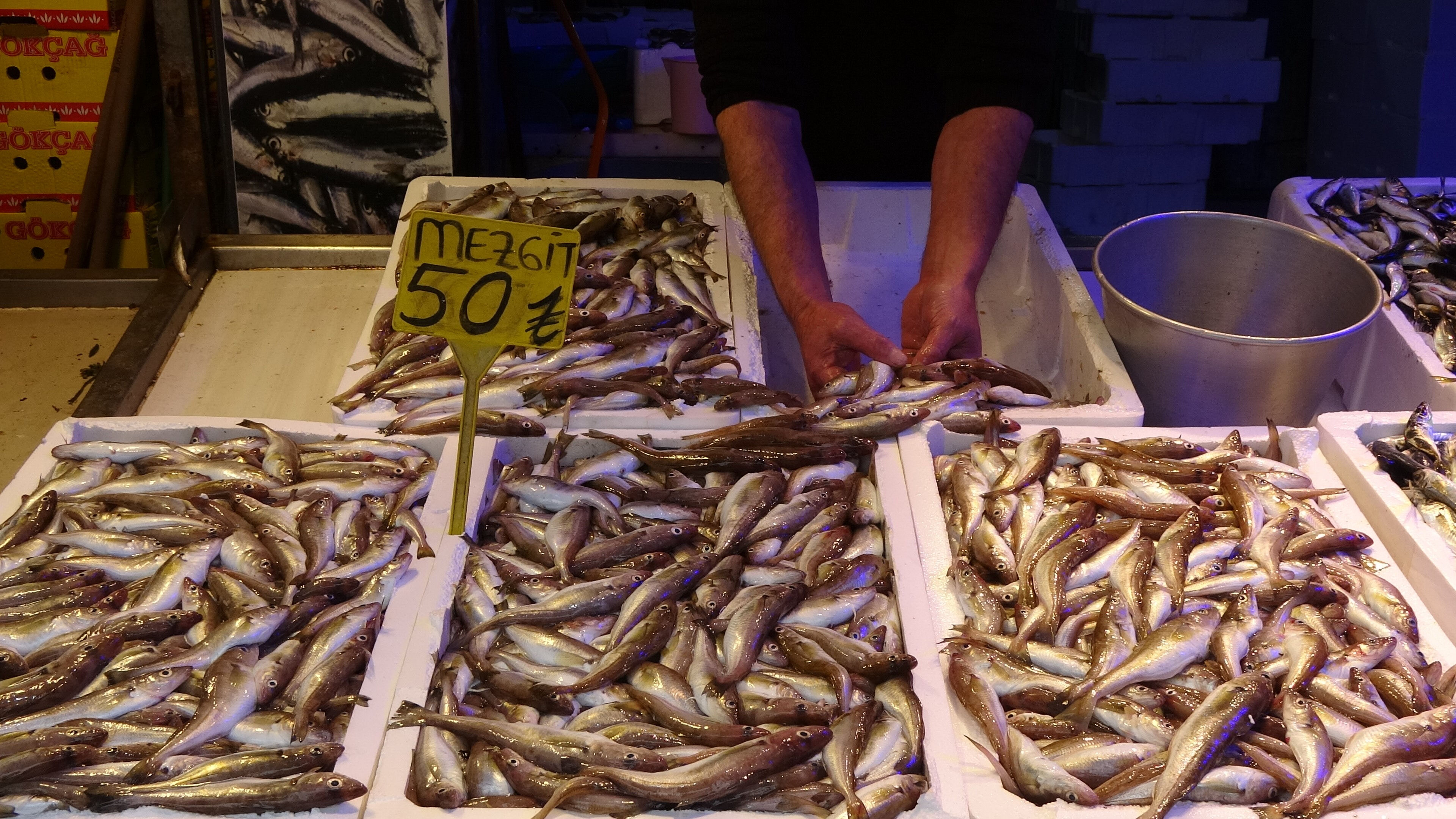 Kilosu 50 TL'ye düştü! Balıkçılar bile şaşkın, tezgahların yeni kralı bakın ne oldu? - 2. Resim