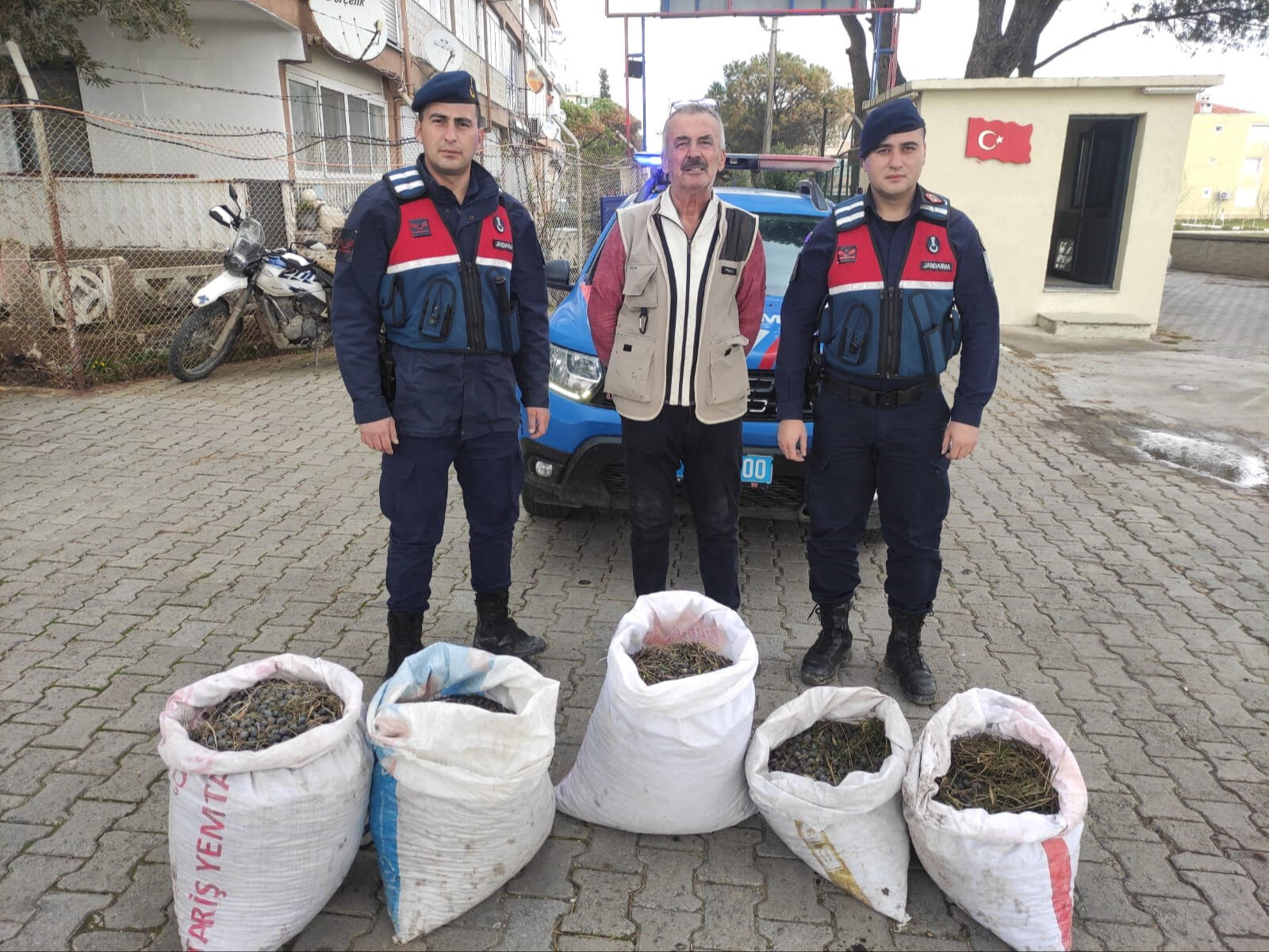 Yeşil altında hasat zamanı! Hırsızlığa karşı bahçelerde 7/24 nöbet tutuyorlar - 1. Resim