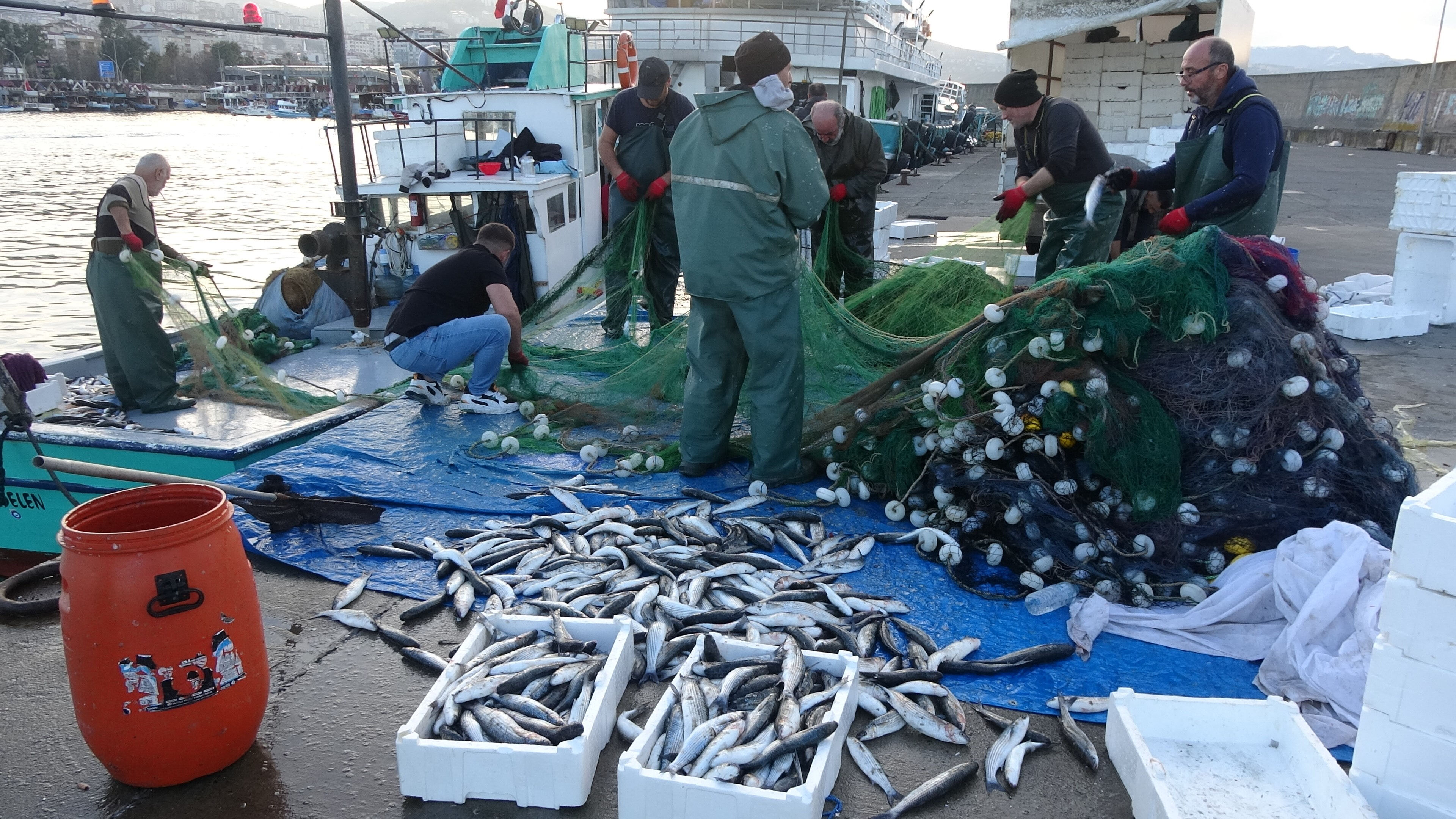 Balıkçıların en bereketli sezonu! Denizden kasa kasa çıkıyor, işte tezgahların yeni kralı - 1. Resim