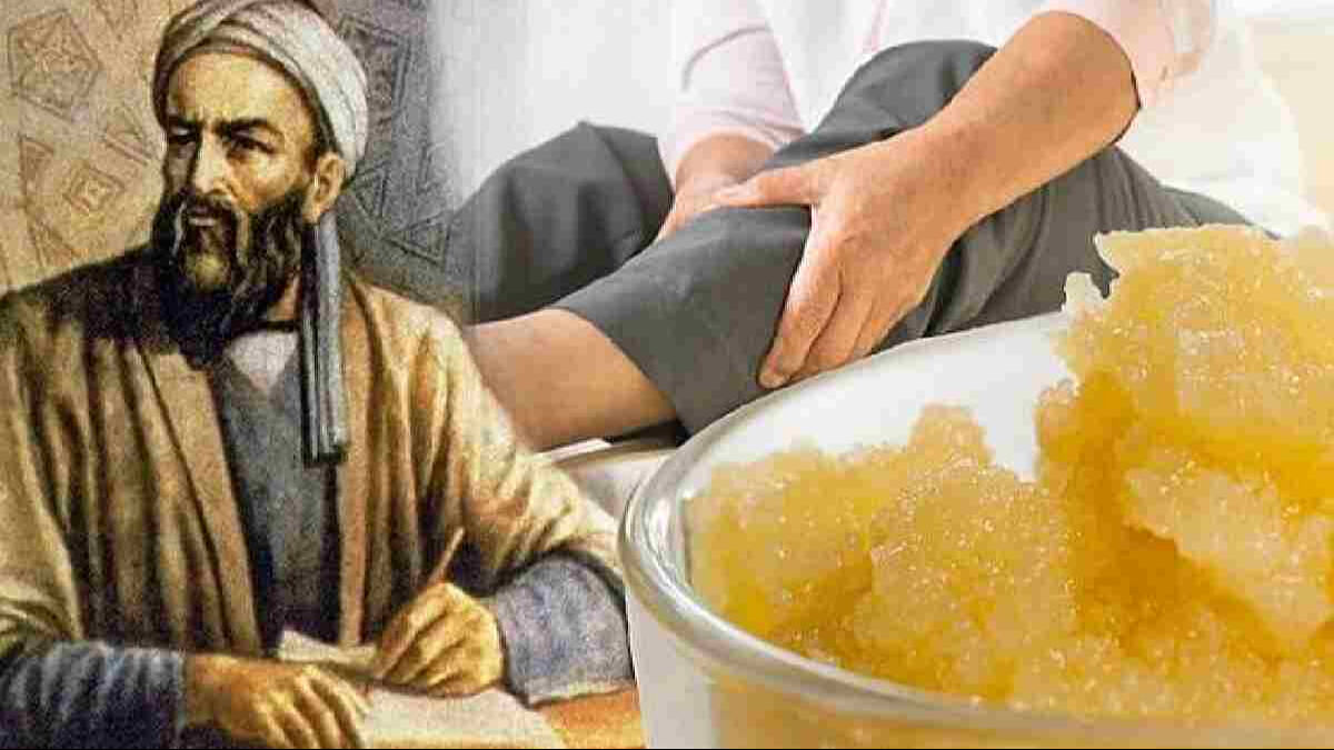 Diz ağrılarını bıçak gibi kesen İbn-i Sina'nın kuyruk yağı reçetesi - 1. Resim