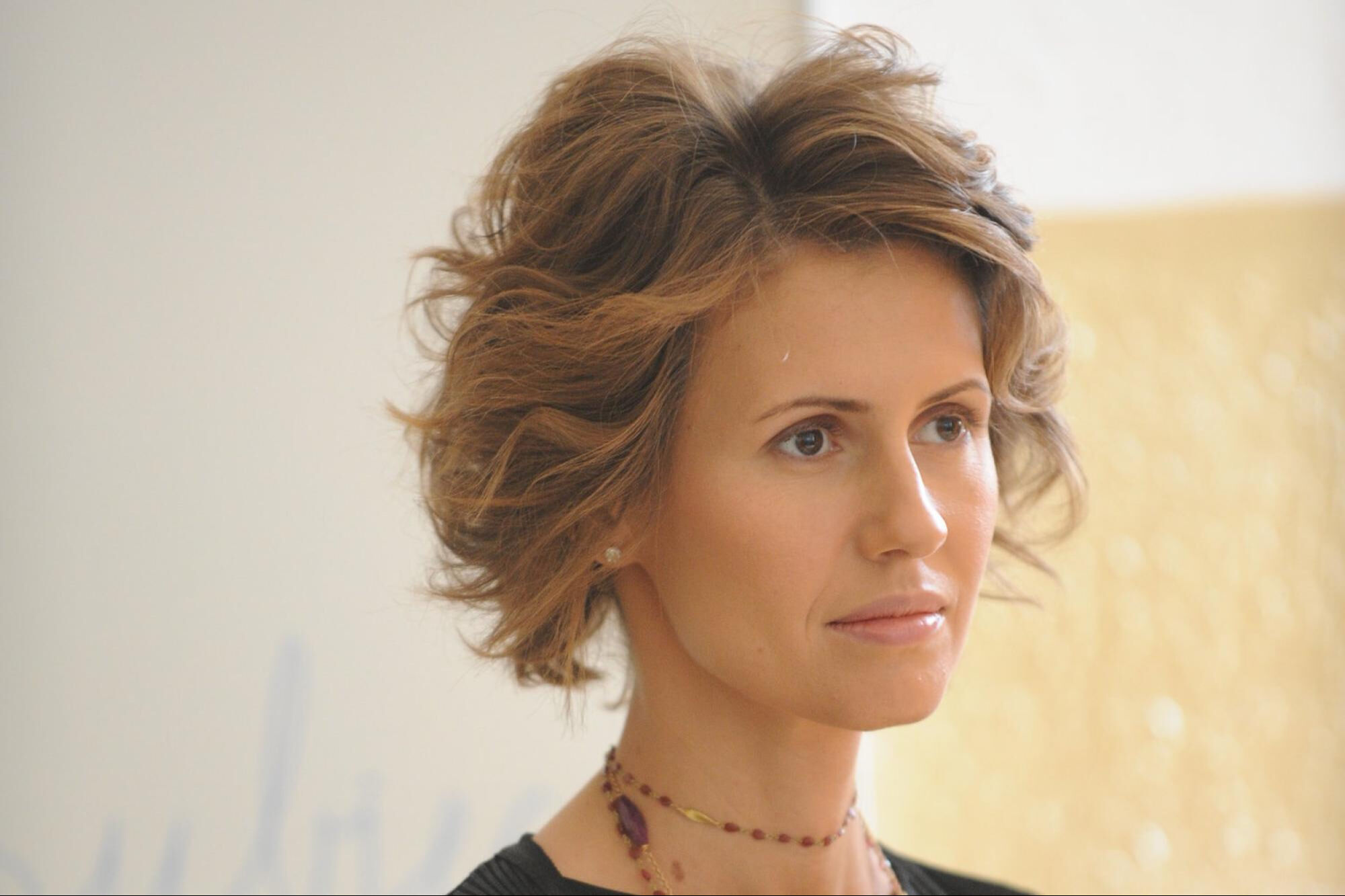 Esma Esad Moskova'da sıkıştı: Orta Doğu'nun gülüne 20 milyar dolar da yetmedi! Onu kimse istemiyor Esma Esad Moskova'da sıkıştı: Orta Doğu'nun gülüne 20 milyar da yetmedi! Onu kimse istemiyor - 1. Resim